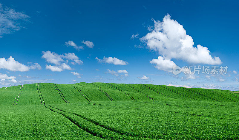 全景春季景观60MPix XXXXL草地，蓝天